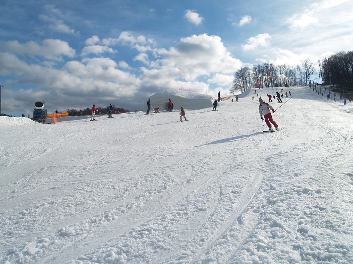 Areál Chotouň - foto 2010 / 2011